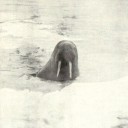 mightylaaitie avatar