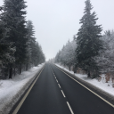 mikrowellenlasagne avatar