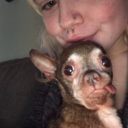 miles4lizardperson avatar