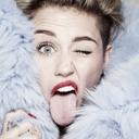 mileycyrusmc-blog avatar