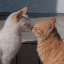 millenniumwalker avatar