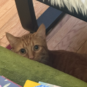 millioneuromess avatar