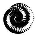 millipede avatar