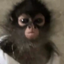 mind-reader025 avatar