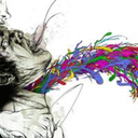 mindset-0f-a-killer avatar