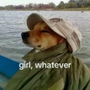 mindyabusines avatar