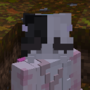 minecraft-ghost avatar