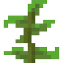 minecraft-kelp avatar