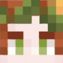 minecraftbookshelf avatar