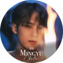 mingyu17chile avatar