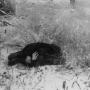 minuteofdecay avatar