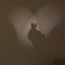 miraclesedits avatar