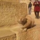 miraculousbohemian avatar