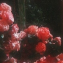 mirrored-heart-fics avatar