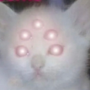 misbehavinmaiden avatar