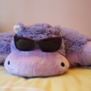 miscellaneous-done-right avatar