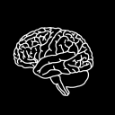 miscellaneous-folder avatar