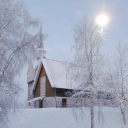 misguided4444444 avatar