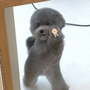 miso-soup-and-me avatar