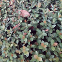 miss-beautys-world-blog avatar