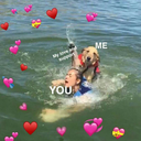 miss-my-unicorn avatar