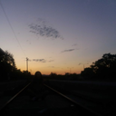 miss-you-logika avatar