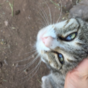 missslaviniaa-blog avatar