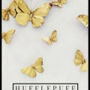 mister-roonil-wazlib avatar