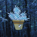 mistermcdestiny avatar