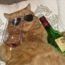 mistermustaco avatar