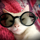 mistress-of-highgarden avatar