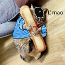 mistymountainpizza avatar