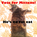 mittens-romney avatar