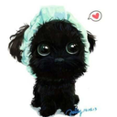 mitty-chan-san avatar