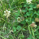 modernwitchwannabe avatar