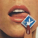 modestdesires avatar