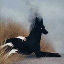 mohrality-wolf avatar