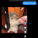 mollyfromtheinternet avatar