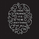 mommabearsdayoff avatar