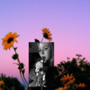 monarchfalter avatar