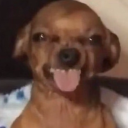 moniqueistired avatar