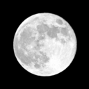 moniquestudies avatar