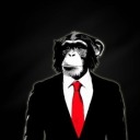 monkeybusinessonatypewriter avatar