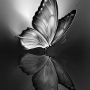 monochromaticbutterfly avatar