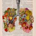 monochrome-medicine avatar