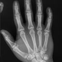 monotonicmadness avatar