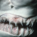 monsters-teeth avatar