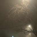 moodboardds-blog avatar