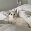 moon-and-ocean-child avatar