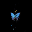 moonbutterflya avatar